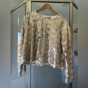 Zara Gold/Silver Sequin Long Sleeve Top.